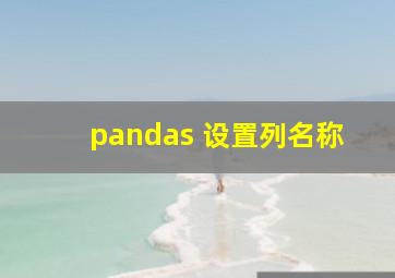 pandas 设置列名称